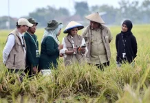 Menkomdigi: Pemanfaatan Teknologi Digital Berdampak terhadap Sektor Pertanian