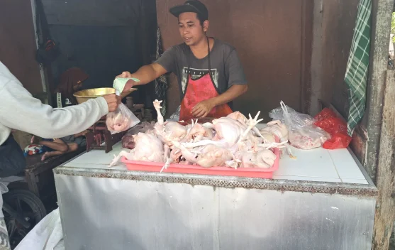 Pedagang Ayam Potong di Kuta Keluhkan Penurunan Penjualan
