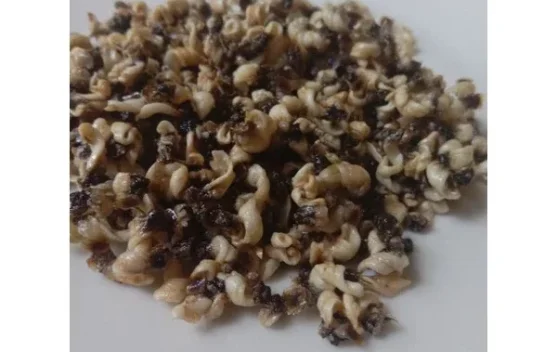 Klejat, Buah Tangan Khas Serangan Bali