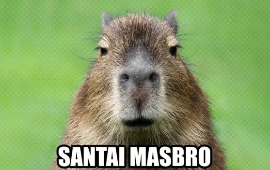 Mengapa Kita Membutuhkan Meme untuk Kesehatan Mental di Era Modern?