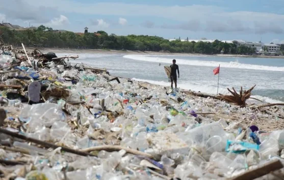 Sampah Plastik dan Pesisir Bali: Ancaman Nyata yang Terus Membesar