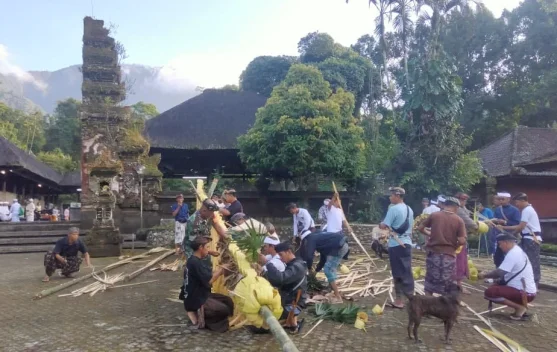 Babinsa Wongaya Gede Perkuat Gotong Royong Jelang Pujawali Pura Luhur Batukaru