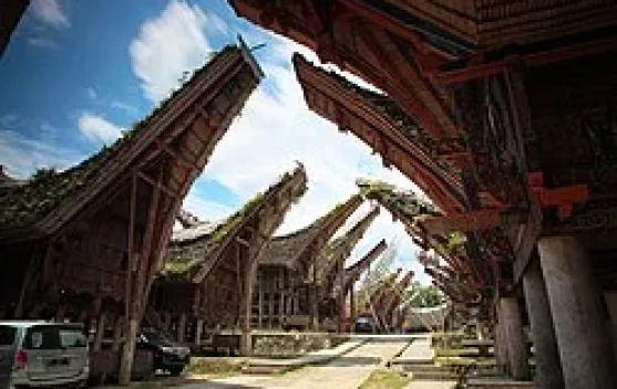 Tongkonan: Simbol Spiritual, Arsitektur Eksotis, dan Martabat Komunal Suku Toraja