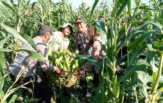 Polsek Blahbatuh Dukung Ketahanan Pangan Nasional