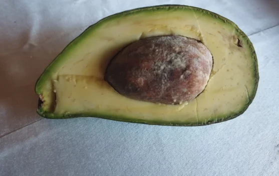 Fakta Gizi Alpukat,Superfood yang Kaya Lemak Baik