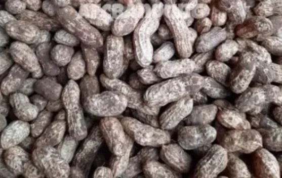 Manfaat Konsumsi Kacang Tanah bagi Kesehatan