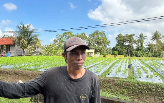KUR BRI Berhasil Menjaga Eksistensi Petani Bunga Pacah