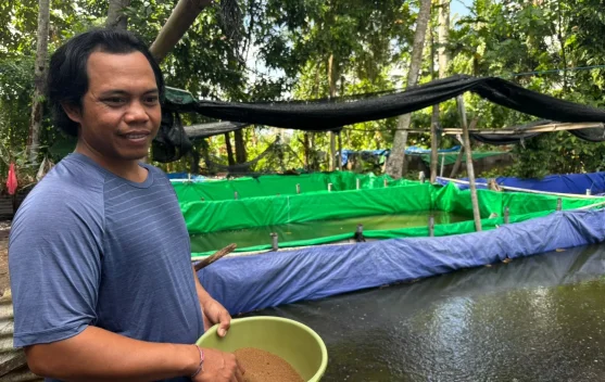 KUR BRI Dukung Pengembangan UMKM Pembibitan Lele di Bali