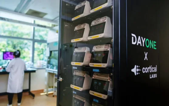 Universitas di Singapura Buat Prototipe Pusat Data Biologis dengan Sel Otak