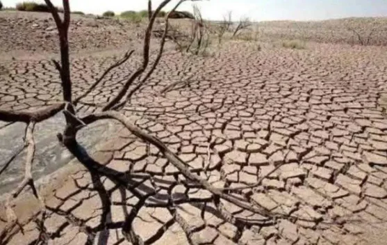 El Niño Picu Kekeringan, Ini Penjelasan dan Dampaknya
