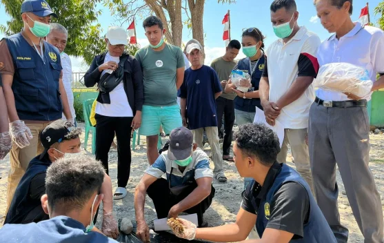 Inovasi KKN Warmadewa: Sulap Limbah Ternak jadi Pupuk Organik