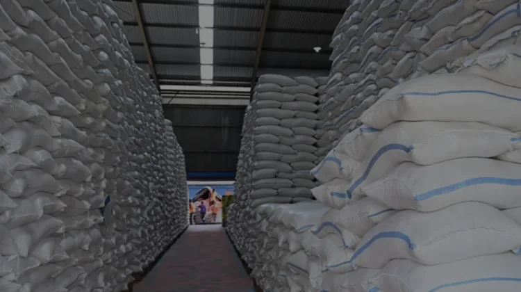 Surplus dan Tantangan Menyimpan Beras 5 Juta Ton