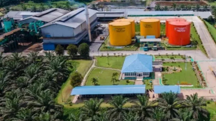 BRIN Kembangkan Nanosilika dari Limbah Sawit untuk Penyimpanan Energi