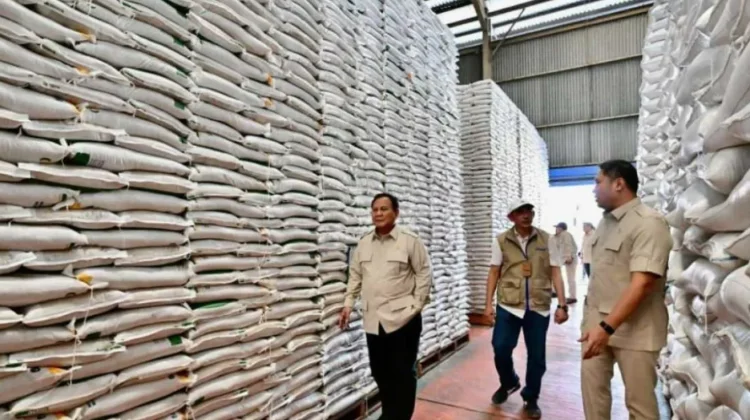 Stok Beras Nasional 5,39 Juta Ton, Tertinggi sejak Indonesia Merdeka