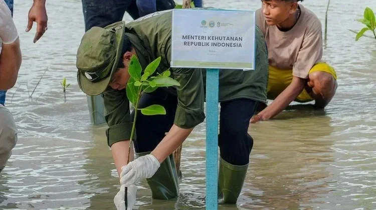 Pesisir Indonesia di Persimpangan Eksploitasi dan Keberlanjutan