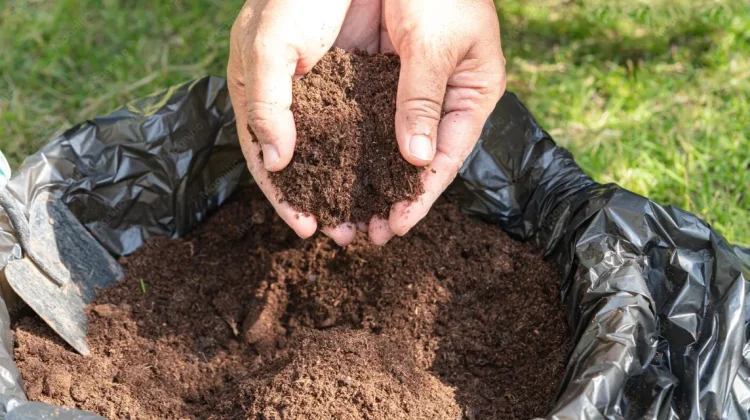 Tips Ubah Sampah Jadi Pupuk Kompos