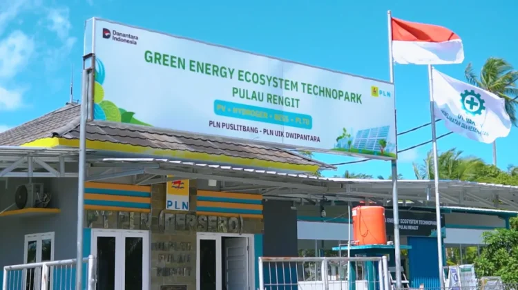 Dukung Target Presiden, PLN Kembangkan Ekosistem Energi Hijau