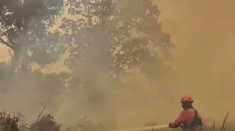 Puluhan Penerbangan Soeta-Kalimantan Ditunda karena Asap