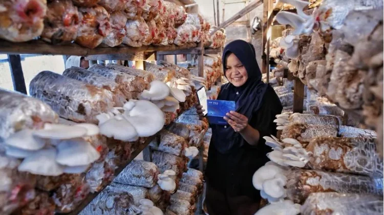 BRI Catat Bisnis UMKM Tetap Ekspansif di Q2-2026