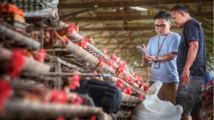BRI Paparkan Prospek UMKM Q3-2026 Masih Tumbuh Positif