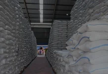 Surplus dan Tantangan Menyimpan Beras 5 Juta Ton