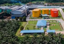 BRIN Kembangkan Nanosilika dari Limbah Sawit untuk Penyimpanan Energi
