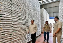 Stok Beras Nasional 5,39 Juta Ton, Tertinggi sejak Indonesia Merdeka