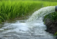 Kementerian LH Siapkan Aturan "Water Farming"