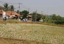 Kabupaten Bekasi Mulai Alami Kekeringan