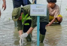 Pesisir Indonesia di Persimpangan Eksploitasi dan Keberlanjutan