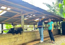 Semangat dan Dedikasi Mantri BRI Hadirkan Akses Perbankan bagi Masyarakat Pegunu