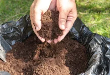Tips Ubah Sampah Jadi Pupuk Kompos