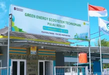 Dukung Target Presiden, PLN Kembangkan Ekosistem Energi Hijau