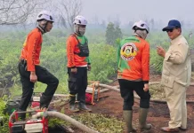 Presiden Perintahkan Tambah Peralatan Atasi Karhutla Kalimantan