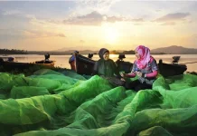 Kredit Rp1.235,4 Triliun, BRI Menguatkan Ekonomi Kerakyatan Lewat Pembiayaan UMKM