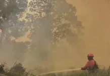 Puluhan Penerbangan Soeta-Kalimantan Ditunda karena Asap