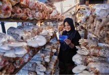 Optimisme UMKM Tetap Tinggi, Prospek Usaha Q3 Masih Ekspansif