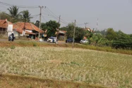 Kabupaten Bekasi Mulai Alami Kekeringan