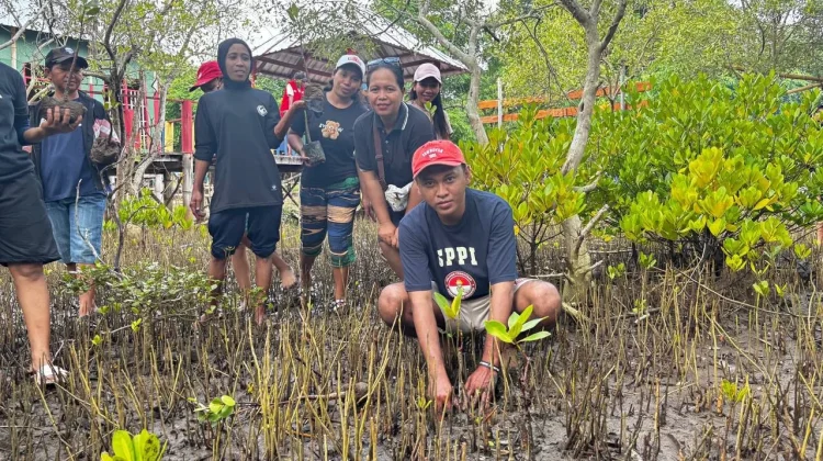 Relawan SPPG Tanam 60 Mangrove di Nanga Banda