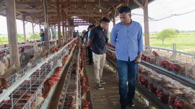 Dapur MBG Survei Kualitas Telur Peternakan, Pastikan Kualitas Pangan