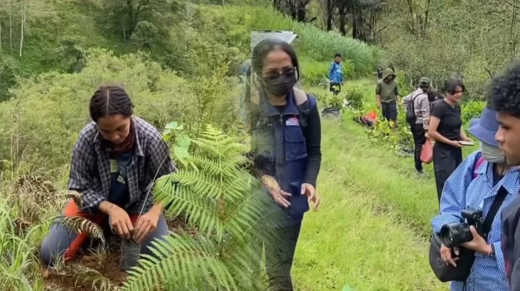 Komunitas di Ngada Tanam Ratusan Pohon di Sekitar Mata Air Lugo Lengi