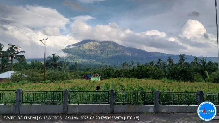 Status aktivitas Gunung Lewotobi Laki-laki di Flores Timur Laki-laki Turun Waspada