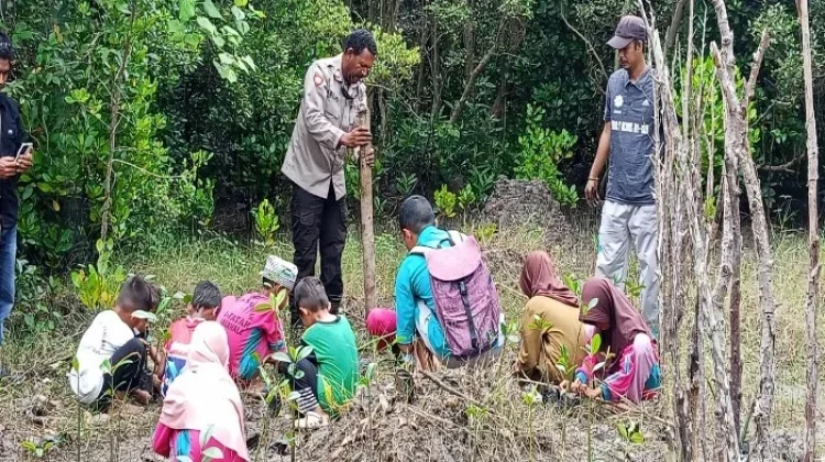 Siswa Nangahale Tanam Mangrove Cegah Abrasi