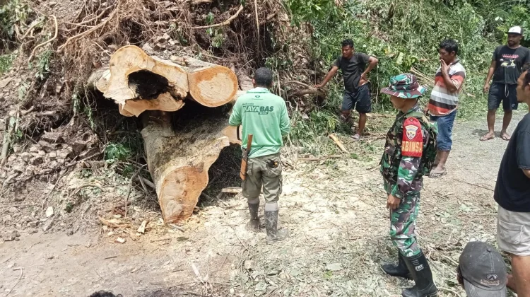 Babinsa Reok Bersama Warga Bersihkan Longsor di Desa Robek