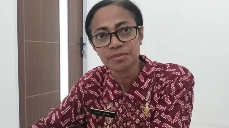 Krisis Dokter, Lima Puskesmas Ende tanpa Tenaga