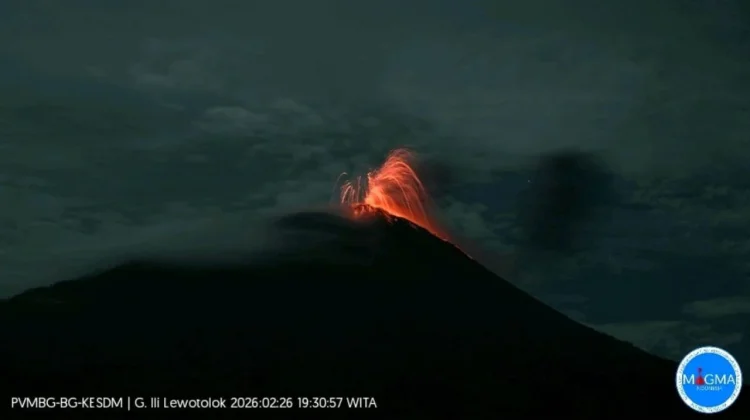 Gunung Ili Lewotolok Erupsi, Kolom Abu Capai 250 Meter