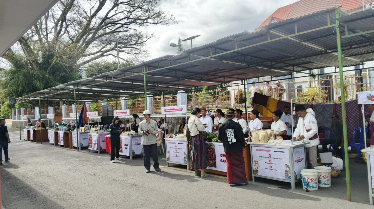 Enam Desa Binaan FEAST Ramaikan Festival Pangan Lokal Manggarai