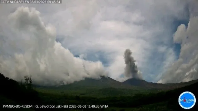 Gunung Lewotobi Laki-laki kembali mengalami erupsi, Abu Capai 1.000 Meter