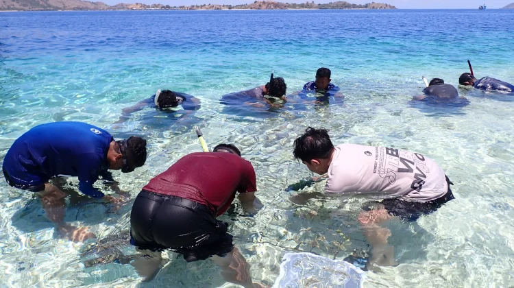 Nelayan Labuan Bajo Bersatu Restorasi Terumbu Karang Rusak