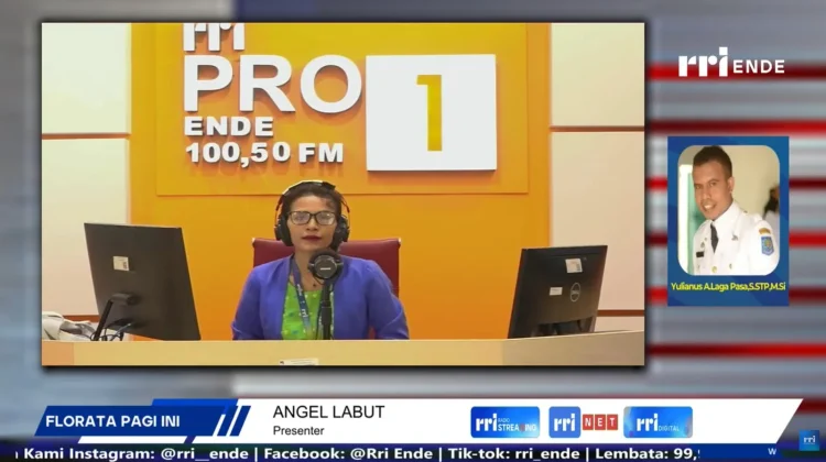 Digitalisasi Pelayanan Publik Permudah Administrasi Warga Ende Tengah
